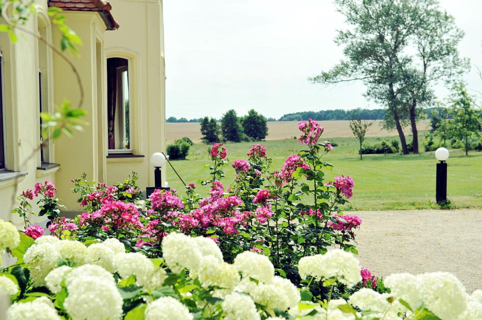 Вилла Gutshaus Penzlin Meyenburg  Экстерьер фото